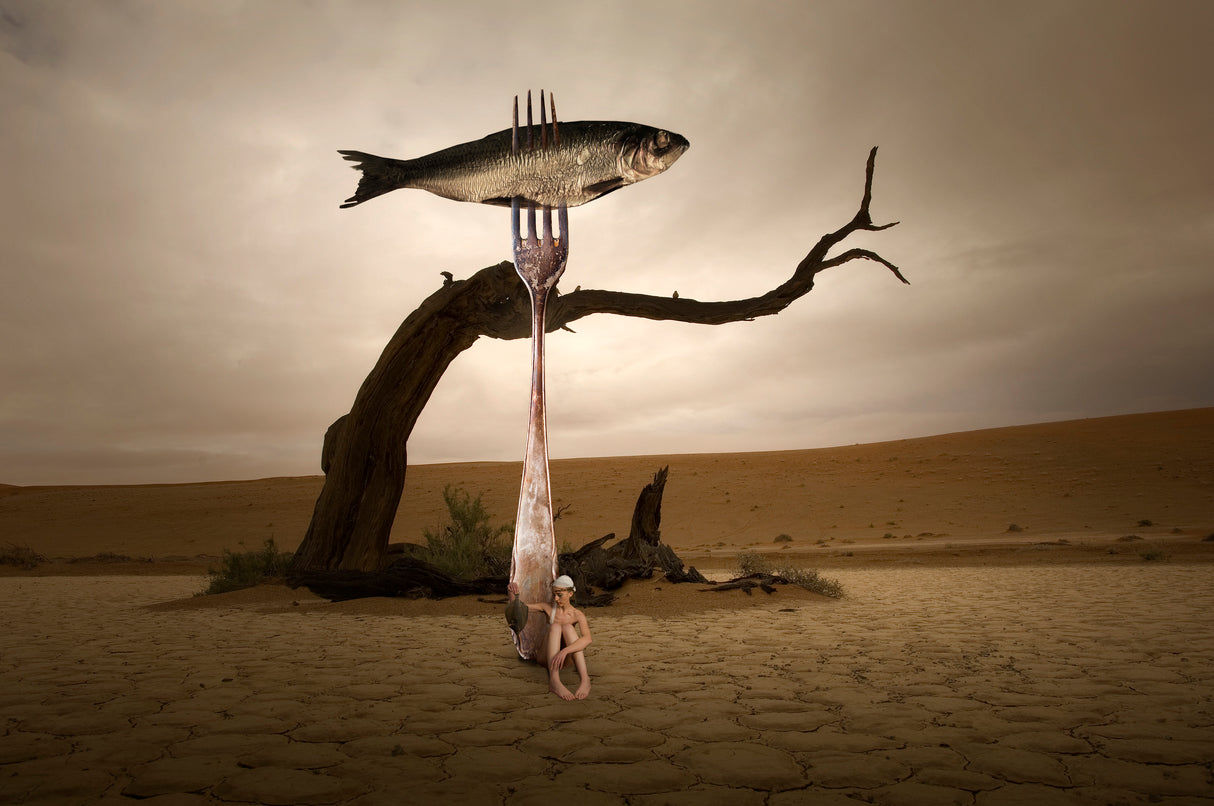 Catch of the day Poster och Canvastavla