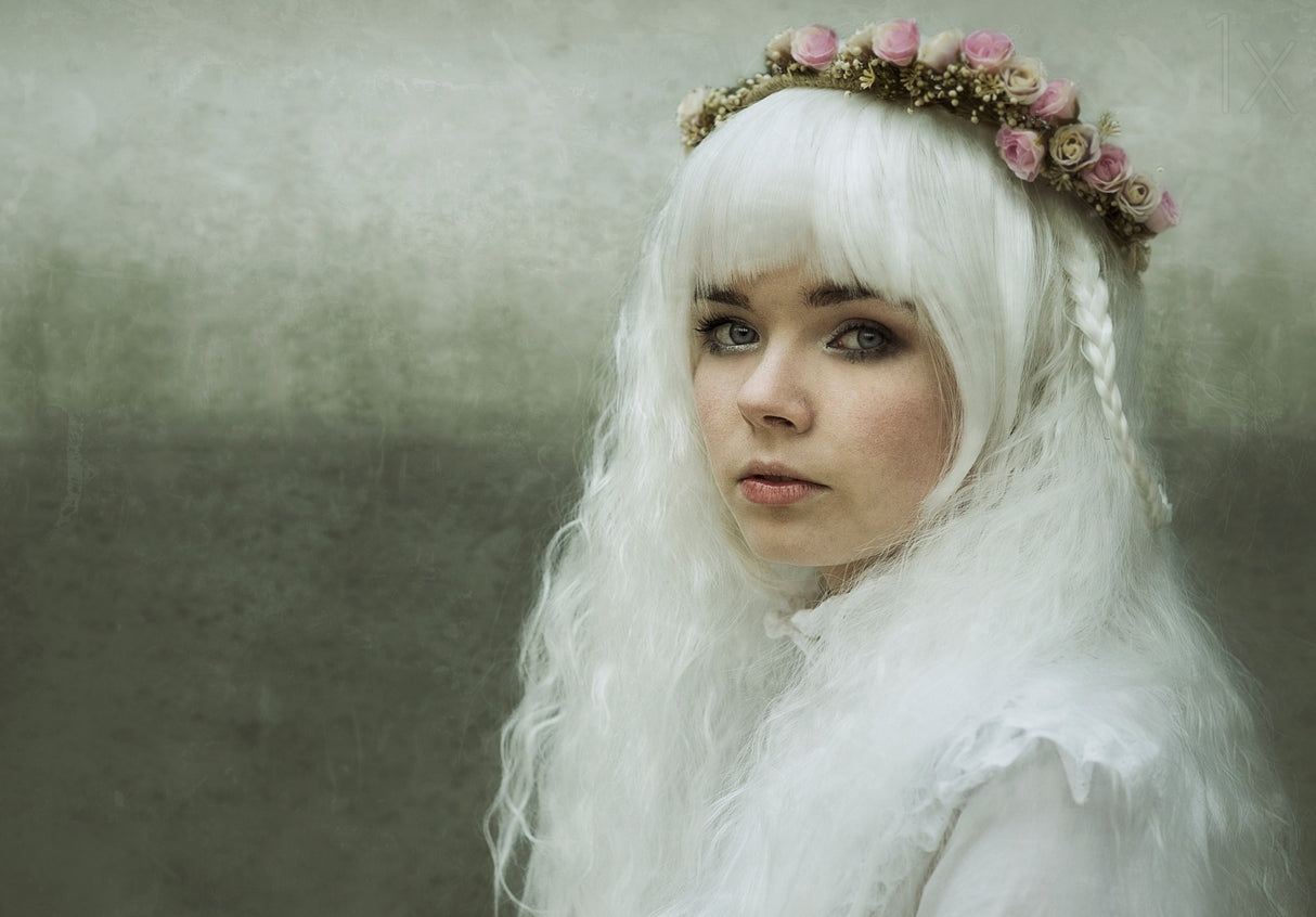 Snow Queen Poster och Canvastavla