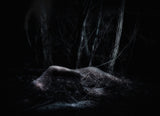 lost and forgotten Poster och Canvastavla
