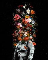 Full Bloom Poster och Canvastavla