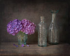 Hydrangea Poster och Canvastavla