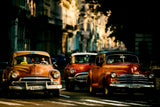 Come with me in the morning light Poster och Canvastavla