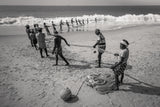 Fishermen in line Poster och Canvastavla