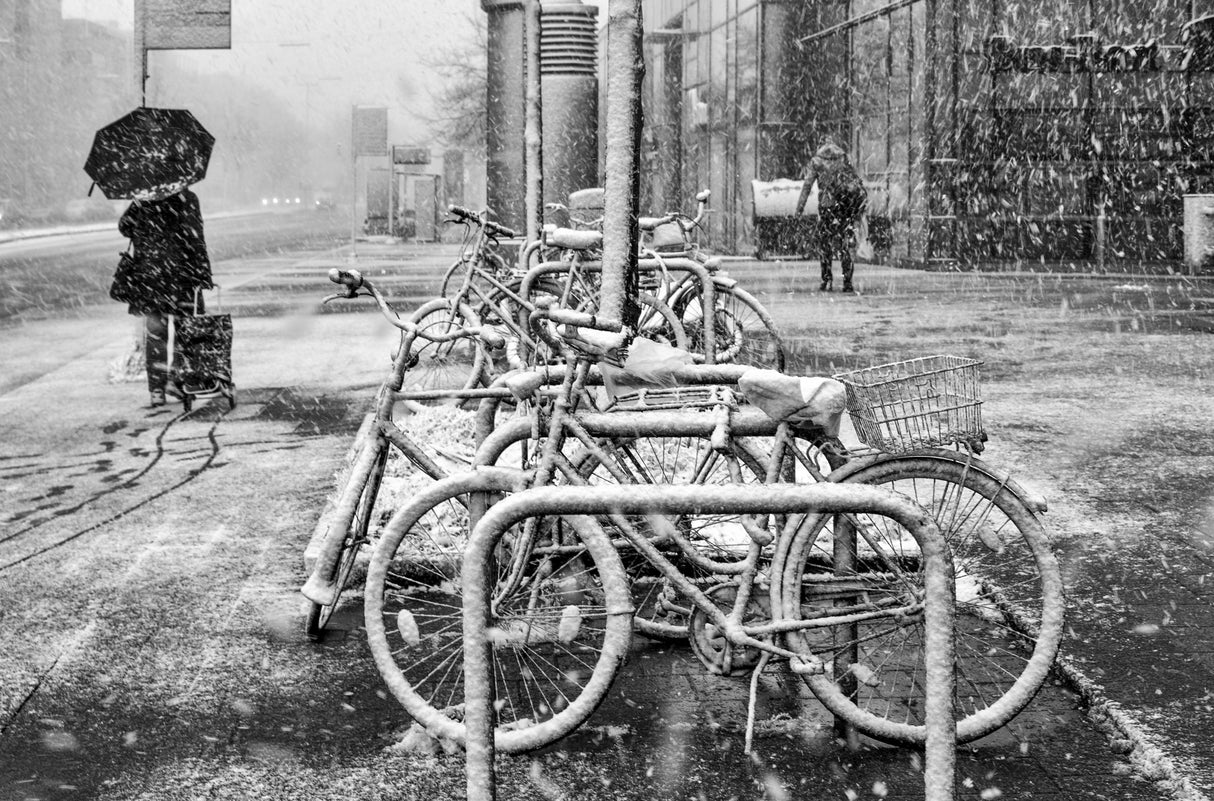 First snow Poster och Canvastavla