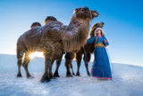 Girl and camels Poster och Canvastavla