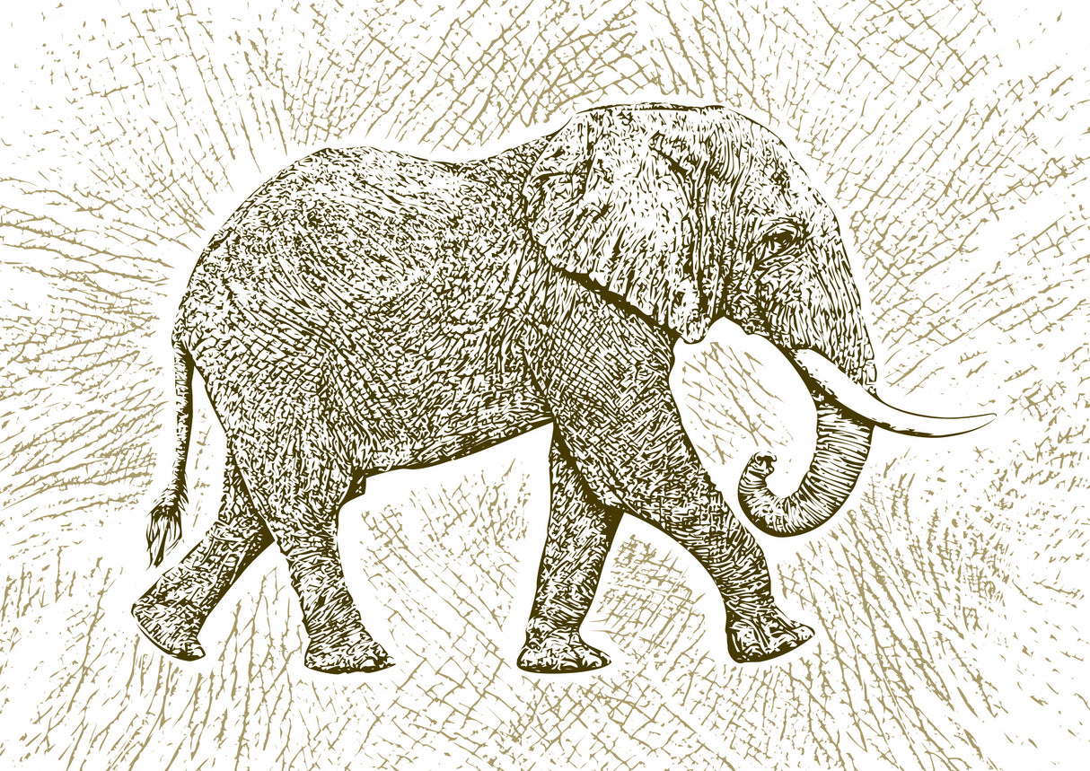 Africa Elephant texture pattern Poster och Canvastavla