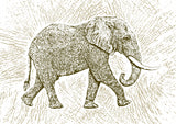 Africa Elephant texture pattern Poster och Canvastavla