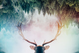 Antler Poster och Canvastavla