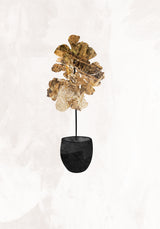 Black and gold house plant 6 Poster och Canvastavla