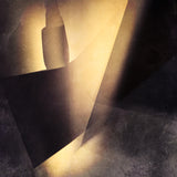 Shadow Poster och Canvastavla