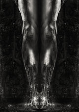 alchemy -Combine minds- Poster och Canvastavla