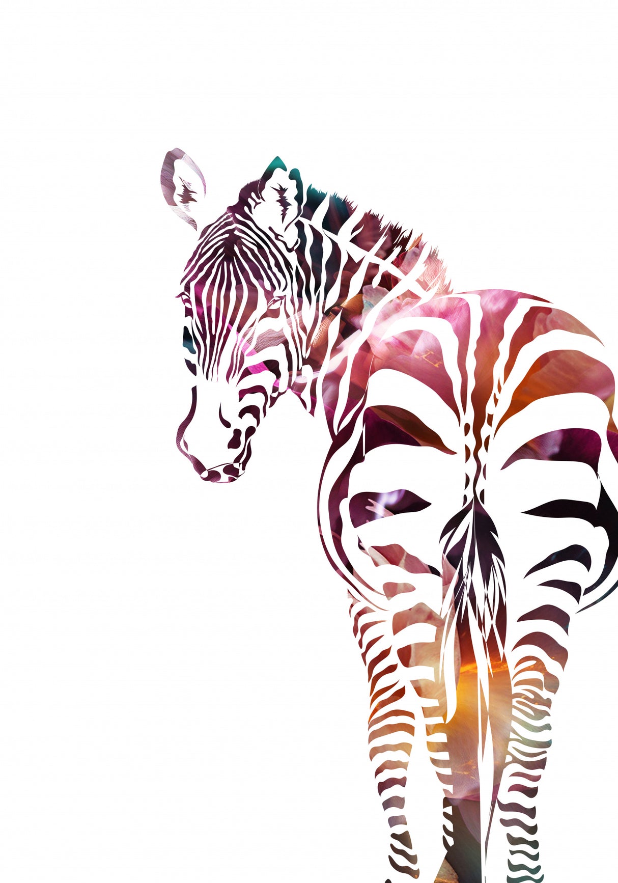 Zebra Silhouette Poster och Canvastavla