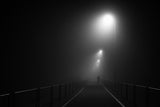 Into the fog Poster och Canvastavla