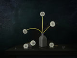 Still Life 2302 Poster och Canvastavla