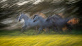 Gallop Poster och Canvastavla
