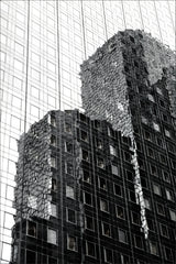Black and White...united... Poster och Canvastavla