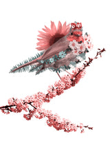 Blooming Bird Poster och Canvastavla