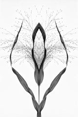Black grass Poster och Canvastavla