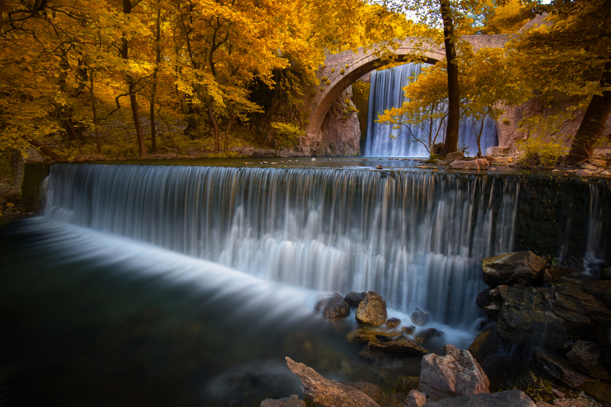 Autumn falls Poster och Canvastavla