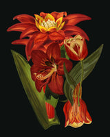 In Bloom.png Poster och Canvastavla