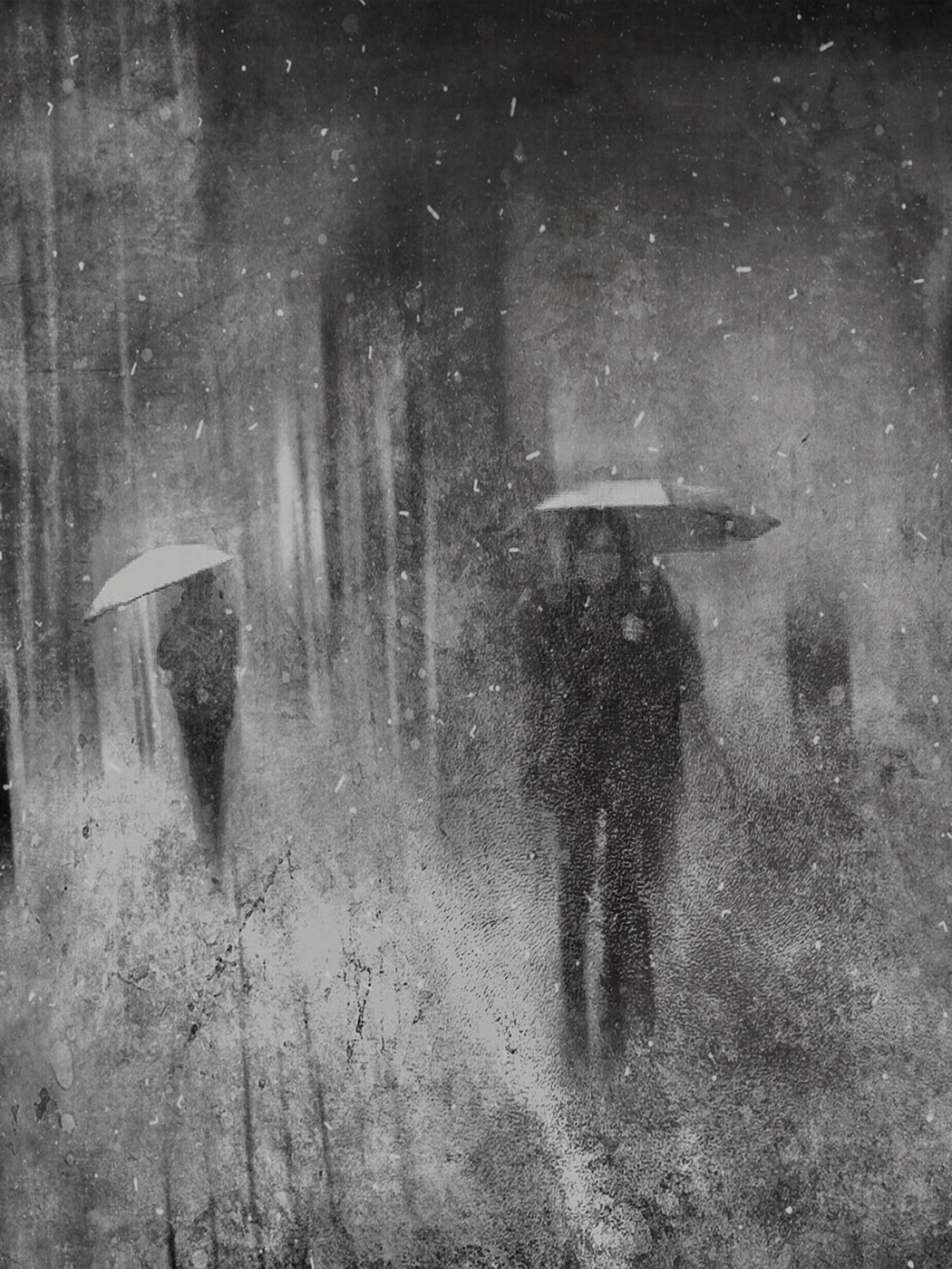 in the wind and rain Poster och Canvastavla