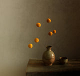 The Juggler Poster och Canvastavla