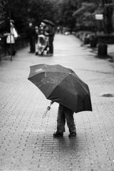 Rainy day Poster och Canvastavla