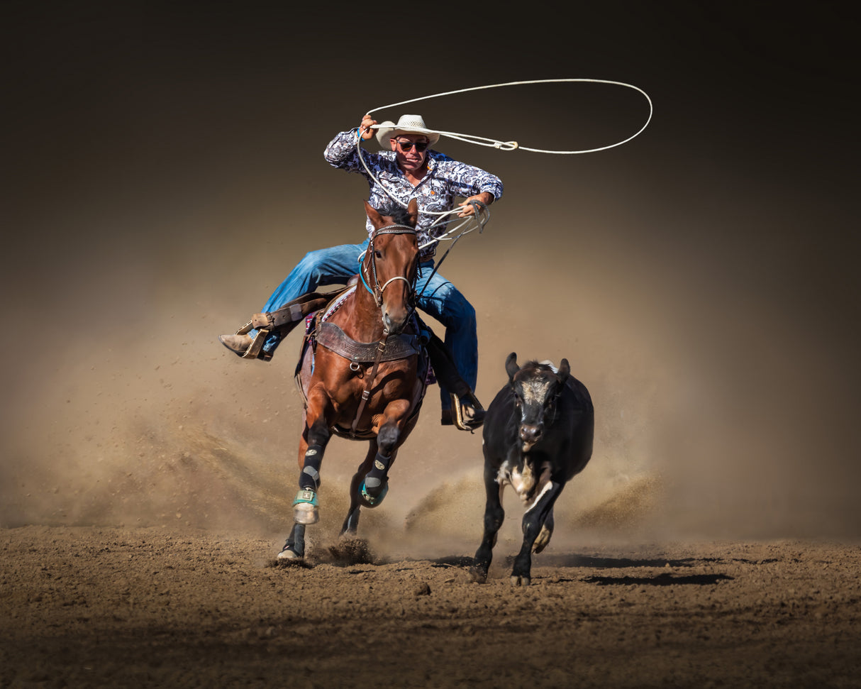 Cattle Roping Poster och Canvastavla