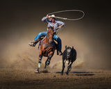Cattle Roping Poster och Canvastavla