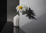 "Beautiful and lonely" Poster och Canvastavla