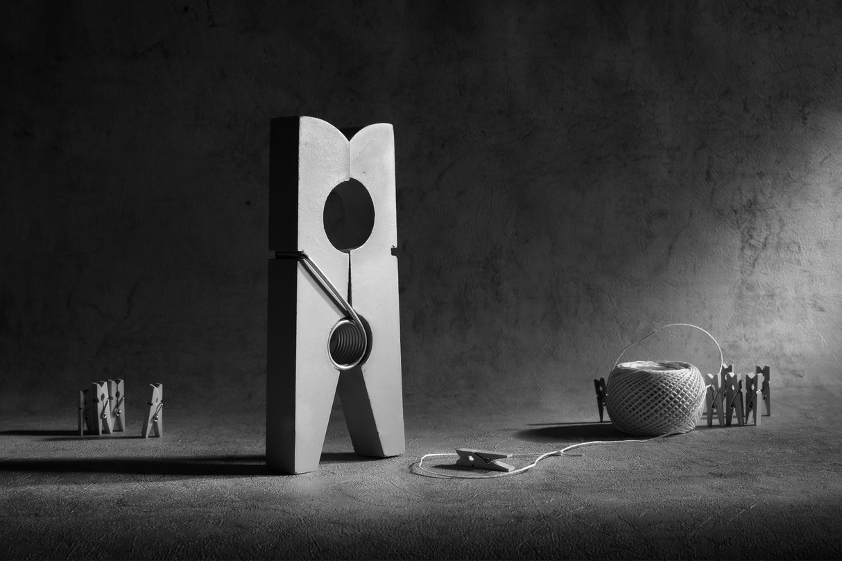 The snare. Hunters. Poster och Canvastavla