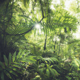 Jungle Flair Poster och Canvastavla