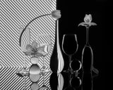 still life 88 Poster och Canvastavla