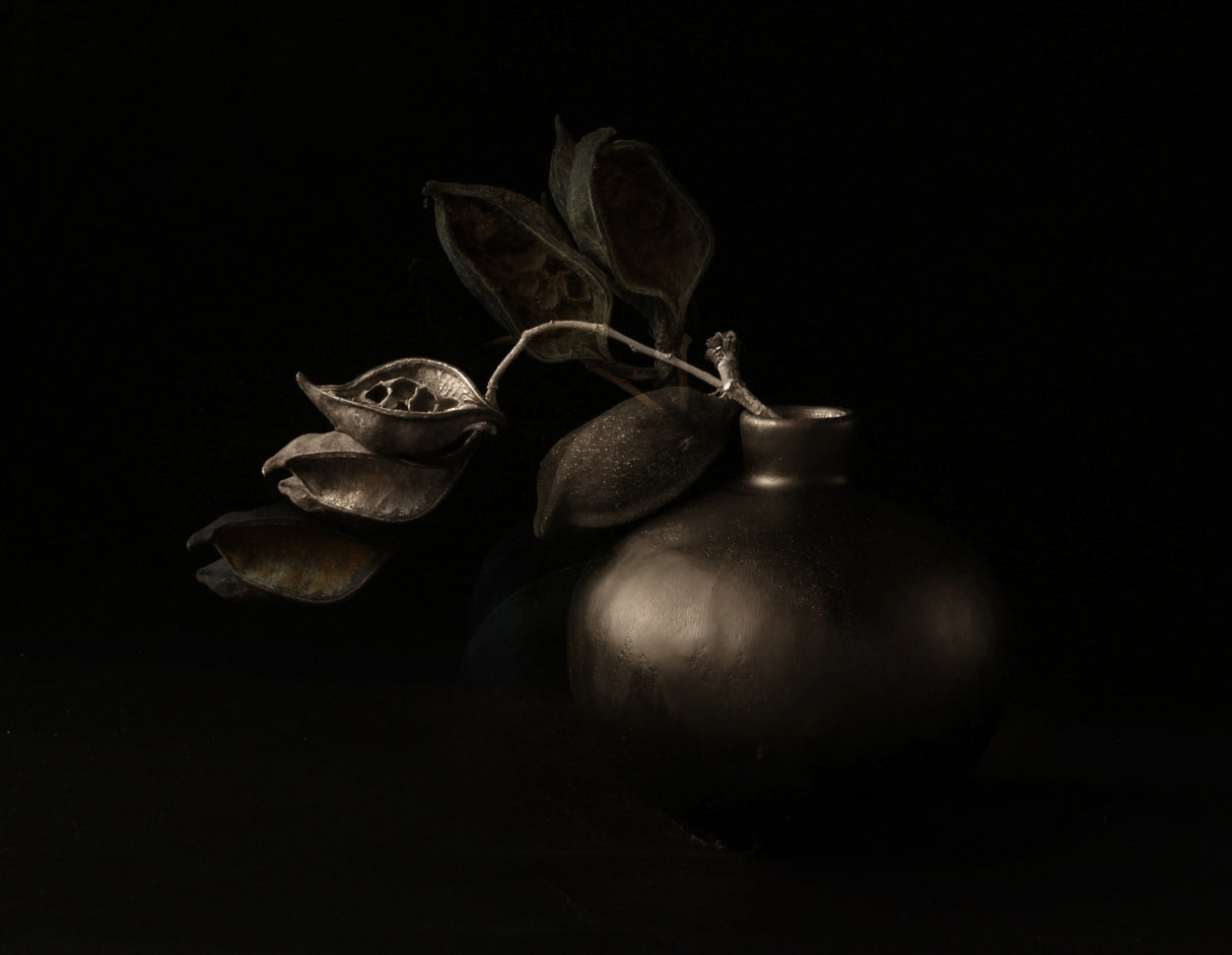 Seed Pods, Their Echoes Poster och Canvastavla