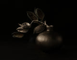 Seed Pods, Their Echoes Poster och Canvastavla