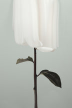 Peony 17 Poster och Canvastavla