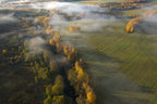Autumn fogs Poster och Canvastavla