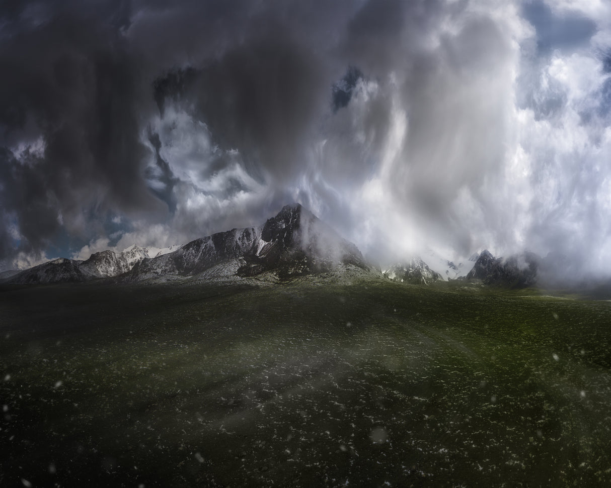 In the Face of the storm Poster och Canvastavla