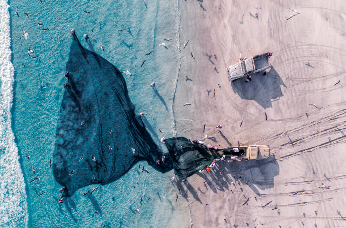 Fisherman from top Poster och Canvastavla