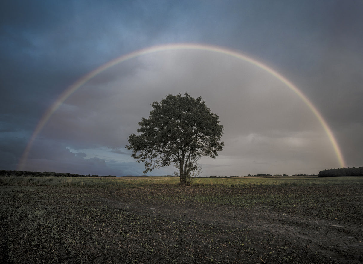 Atardecer de ensueño Poster och Canvastavla