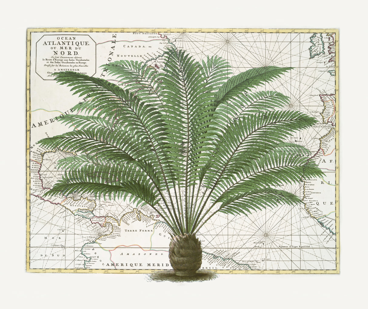 Tropical Empire No5 Poster och Canvastavla