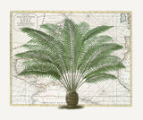 Tropical Empire No5 Poster och Canvastavla