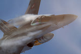 F-18 "Hornet" Poster och Canvastavla