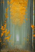 Misty Autumn Path Poster och Canvastavla