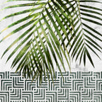 Palm Leaves on Tile Wall Poster och Canvastavla
