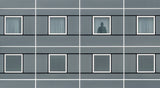 The shadow man Poster och Canvastavla
