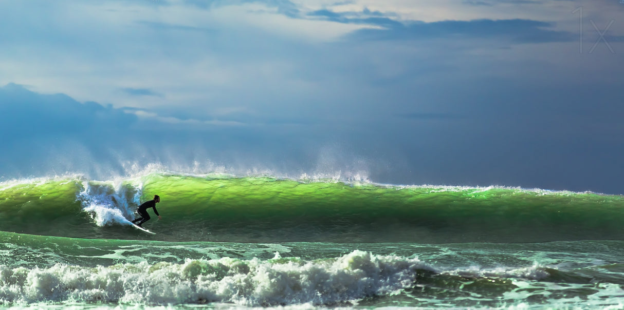 Catch the wave Poster och Canvastavla