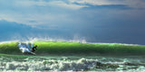 Catch the wave Poster och Canvastavla