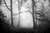 Visions Of A Forest Poster och Canvastavla