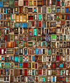 Doors of Buenos Aires Poster och Canvastavla